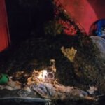 Ciclón tropical podría formarse en los próximos días